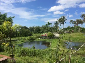 Krabilife Resort - Image 3