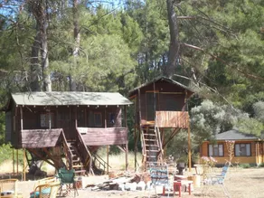 Olympos Woods - Image 5