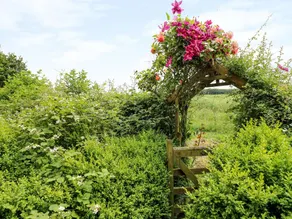 The Old Cottage - Image 4