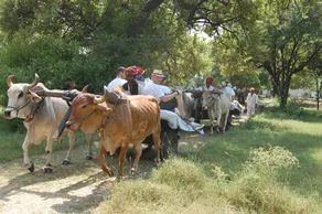 Shahpura Bagh - Image 3