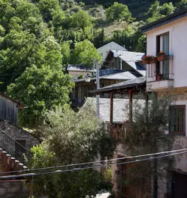 Severino - Image 5