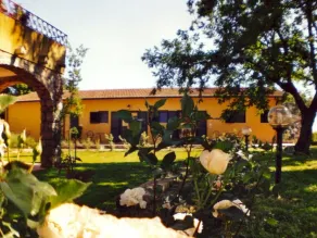 Rosaspina - Image 5
