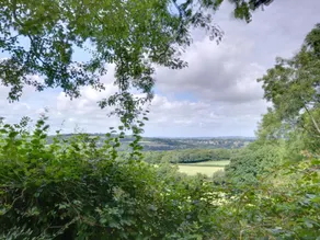 Detached Holiday Home in Beautiful Forest Location in Brightling - Image 3