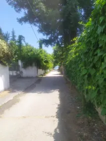 Villa Dimitris - Image 2