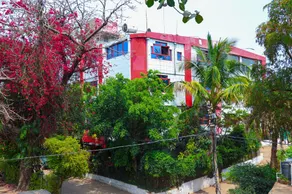 Amrapali - Image 4