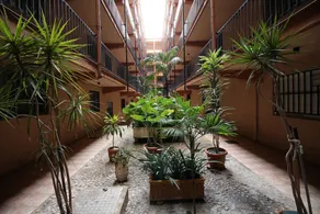 Apartamento Benidorm 3 - Image 4