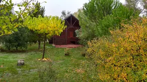 Cabañas de San Bartolomé - Image 4