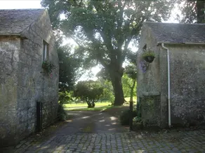 Barnhill House Apartment - Image 2