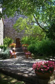 Podere Vitiano - Image 3