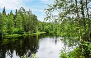 Awesome Home in Markaryd With 2 Bedrooms and Wifi - Image 3