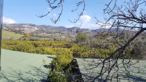 Azienda  La Spina Santa - Image 4