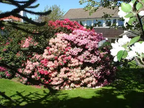 The Cherries Bed and Breakfast - Image 5
