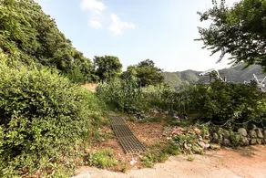 Youngwol River Park - Image 4