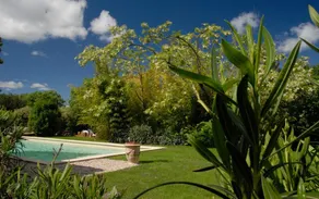 Le Coing Des Vignes - Image 2