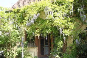 Vogtshof Rottweil - Image 4