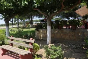 Apartments Hotel Alexandros - Image 2