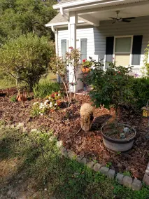 Four Mile Bed & Breakfast - Image 5