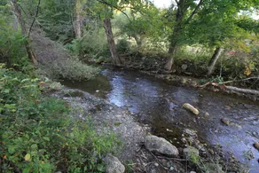 Green River Inn - Image 4