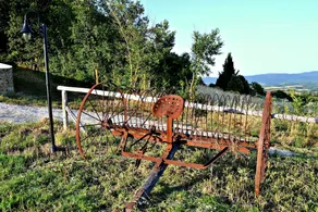 Agriturismo I Pianali - Image 4