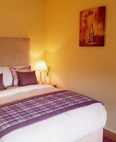 Ballinacourty House - Image 4