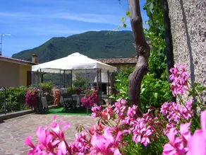 Rustico Piletta, Mimosa - Rebomaholidays - Image 2