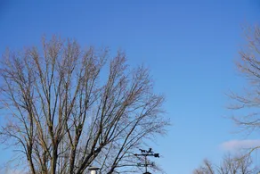 American Inn - Image 3