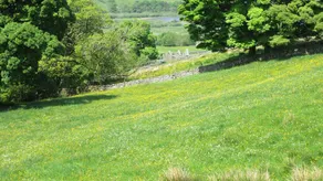 High Blean B&B - Image 4
