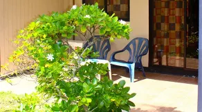 Pension Fare Maeva - Image 3
