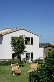 Azienda Agricola Parmoleto - Image 5