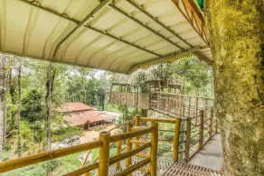 GuestHouser 4 BHK Tree house 7d51 - Image 3