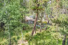 Dragonfly Cabin - Image 5