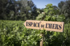 Espace de l'Hers Gite - Image 5