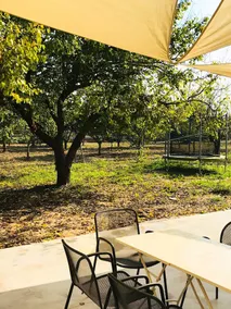 Apartment With one Bedroom in Galatone, With Shared Pool, Furnished Terrace and Wifi - 12 km From the Beach - Image 5