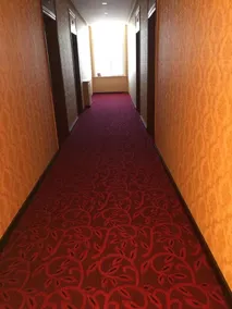 Harbin Hongyun Hotel - Image 5