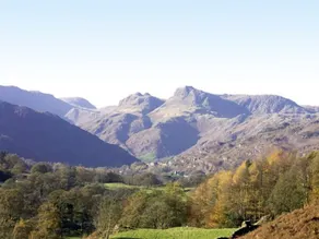 Number 16 - Image 3