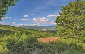 Casalte - Image 3