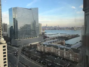 Skyview Luxury Suites New York City - Image 3