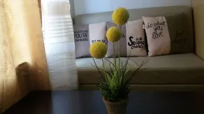 Cebu Backpackers' Place - Image 2