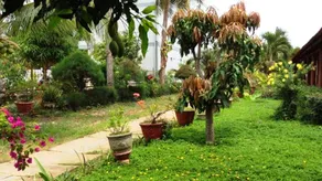 Guest House Sedec - Image 4