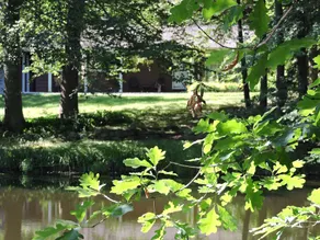 Peaceful Country Living Pet Friendly - Image 5