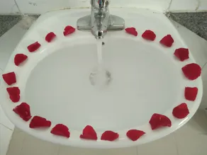 Valentine - Image 5