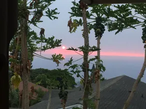 Kona Hawaii Guest House - Image 4