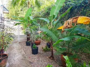 I Heart JA Garden Retreat In Mona - Image 4