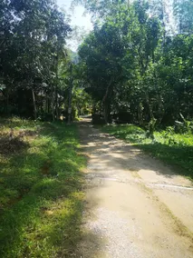Baansuan Khaolak - Image 3