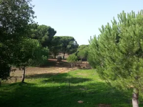 Albergue Rural Territorio del Gato - Image 4