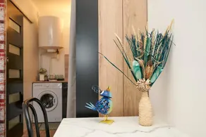 Les Oiseaux du Nid Bleu Rouen Gare - Image 4