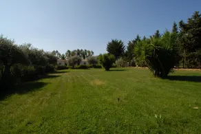Agriturismo S'Anea - Image 4