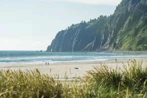 Neah-kah-nie Treasure by Avantstay Secluded in Lush Greenery w/ Ocean Views & Hot Tub - Image 3