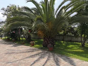 B&B D'Avino - Image 2
