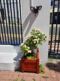 Waynes Place - Image 5